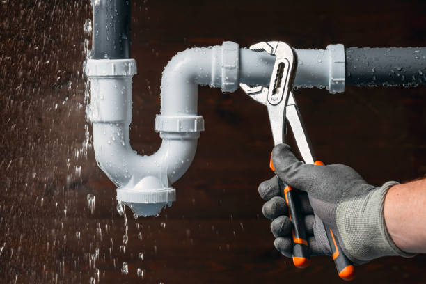 Professional Emergency Plumber technician working in Trilby, FL